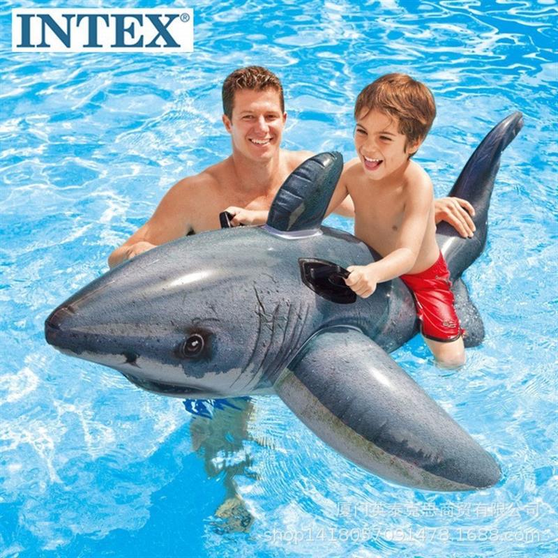 57525 Shark 173 and X107cm